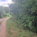 이정공인중개사사무소 이미지