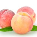 반포전자 이미지