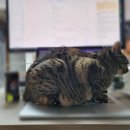 미소산약국 이미지