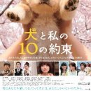 와이즈24시 동물병원 이미지