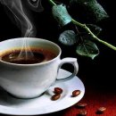 향기고운 이미지