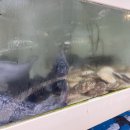 대동시장 이미지