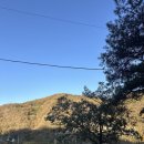 오수관촌농협하나로마트 이미지