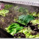 행복식자재마트 이미지