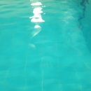 월명실내수영장 이미지