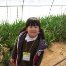 예본어린이집 이미지