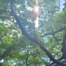 광장센트럴약국 이미지