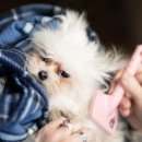 준클리닝 이미지