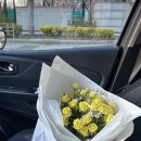 [대전/지족역]색감이쁜 꽃들이 구비되어 있는 24시꽃집추천➰도비니의 정원