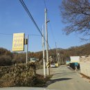 은행나무하우스낚시터 | 춘천 붕어낚시 손맛을 제대로 느낄 수 있는 은행나무하우스실내낚시터