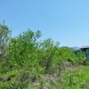 중말농장 이미지