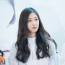 신비코
