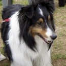 미래동물병원(산업동물진료) 이미지