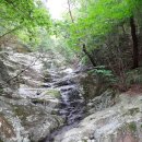 신전마을 이미지