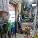 그린낚시 이미지