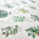 수채화와 디지털 보태니컬 드로잉 이미지