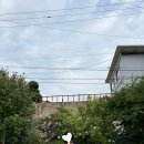 마르떼 | [내돈내산] 마르떼 프랑소와 저버 호보백 후기