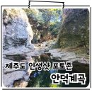 방선문 | 제주도 숨은 여행지 신비로운 계곡 트래킹 서귀포 안덕계곡