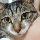 수원-0611 이미지