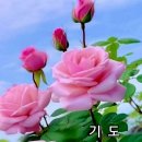 계절의여왕