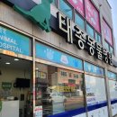 태종동물병원 | 영도 동삼동동물병원 태종동물병원 광견병주사 후기