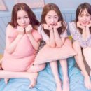 [단독] '청춘시대' 북미 수출…JTBC 최고가 판매 (종편드라마) 이미지