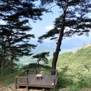 숲의하루