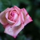 수락산역 3번출구 이미지