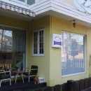 츄츄애견 이미지