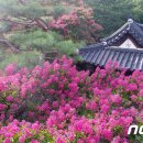 구연정 이미지