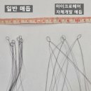 마이크로헤어증모