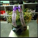 환타지아빌딩 이미지