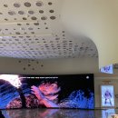 전곡선사박물관 이미지