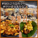 정통집안산