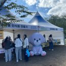 멍냥펫살롱 이미지