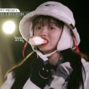 버킷비스킷