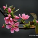 어머니의 마음 이미지