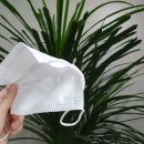 보나덴탈 이미지