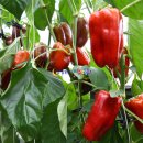 운봉농협 APC 이미지