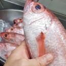 남해꽃게탕 이미지