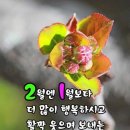 달봉아 놀자 이미지