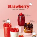 엔제리너스 이미지