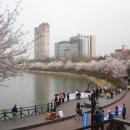 석촌공원길 이미지