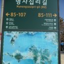 2013.3.2 신지도~장흥 토요시장~화순 운주사 이미지
