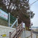 이기대큰고개약수터 | 이기대해안산책로와 장자산 연계산행 2026년 3월 7일