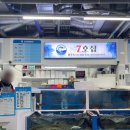 [삼척] 삼척항 활어회센터 후기 / 삼척 쏠비치 근처 회포장