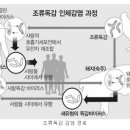 AI (조류독감 ) 인체 감염 가능성과 증상 이미지