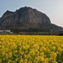 추억향기 이미지