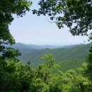 신사-113 이미지