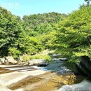 이화촌 | 경기도애견동반펜션 이화촌 근교여행